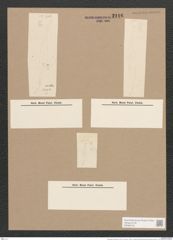 Pleurosigma fasciola (Ehr.) W.Sm. (de-Toni-Nr.: Genus 13, Species 1089) Zeichnungen Sammlung Grunow Nr. 2116 (NHMW-BOT-W0369148)
